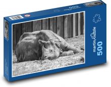 Nosorožec v zoo Puzzle 500 dílků - 46 x 30 cm