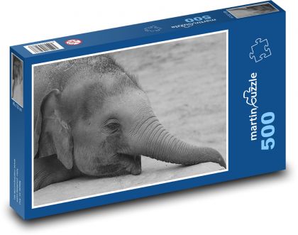 Slon - zvíře, Afrika - Puzzle 500 dílků, rozměr 46x30 cm