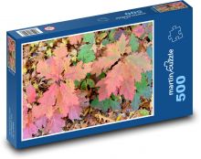 Podzimní listy v přírodě Puzzle 500 dílků - 46 x 30 cm
