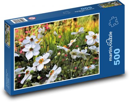 Zawilec - kwiat, natura - Puzzle 500 elementów, rozmiar 46x30 cm