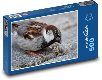 Sparrow - bird, beak - Puzzle of 500 pieces, size 46x30 cm 