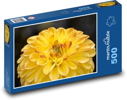 Žltá georgína - záhradný kvet - Puzzle 500 dielikov, rozmer 46x30 cm 