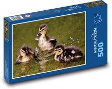 Kachny divoké - mláďata, voda Puzzle 500 - 46x30 cm
