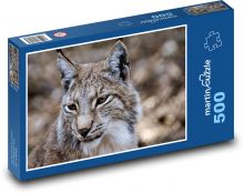 Rys - divoká kočka, divoké zvíře Puzzle 500 dílků - 46 x 30 cm