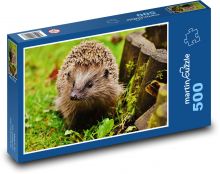 Mladý ježko - zviera, les Puzzle 500 dielikov - 46 x 30 cm 