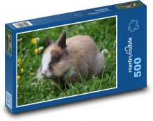 Králík v trávě Puzzle 500 - 46x30 cm