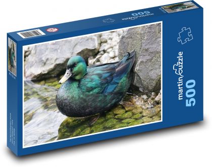 Kachna - pták, rybník - Puzzle 500 dílků, rozměr 46x30 cm