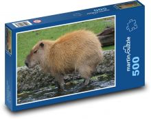 Kapybara - hlodavec, zvíře Puzzle 500 dílků - 46 x 30 cm
