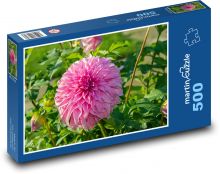 Jiřina - růžový květ, květina Puzzle 500 - 46x30 cm