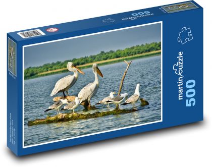 Pelikány - rackové, vodné vtáky - Puzzle 500 dielikov, rozmer 46x30 cm 