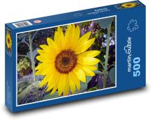 Słonecznik - kwiat, ogród Puzzle 500 elementów - 46x30 cm