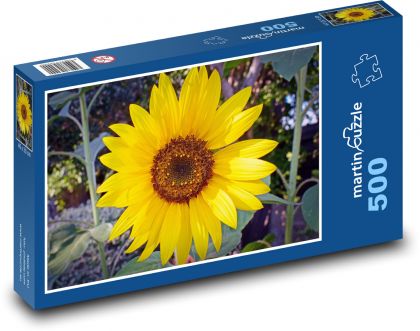 Słonecznik - kwiat, ogród - Puzzle 500 elementów, rozmiar 46x30 cm