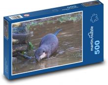 Vydra - voda, zvíře Puzzle 500 - 46x30 cm