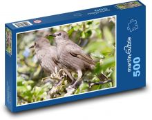 Špaček - pták, peří Puzzle 500 dílků - 46 x 30 cm