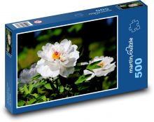 Bílé pivoňky - květy, zahrada Puzzle 500 dílků - 46 x 30 cm