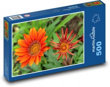 Oranžová gazánie - květ, zahrada Puzzle 500 dílků - 46 x 30 cm