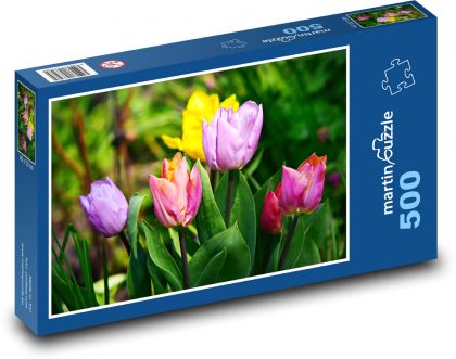 Tulipán - barevný květ, květiny - Puzzle 500 dílků, rozměr 46x30 cm