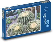 Kaktus - trny, pichlavý Puzzle 500 - 46x30 cm