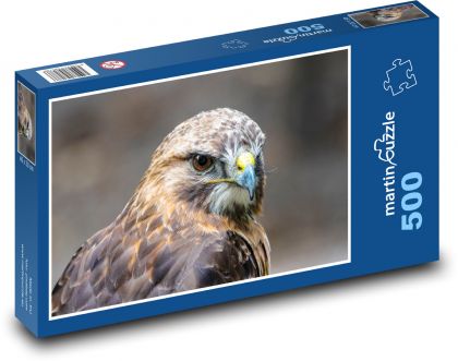 European buzzard - predator, bird - Puzzle of 500 pieces, size 46x30 cm 