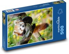 Panda červená - mládě, zvíře Puzzle 500 dílků - 46 x 30 cm