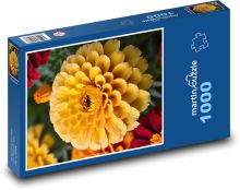 Žlutý květ měsíčku Puzzle 1000 dílků - 60 x 46 cm