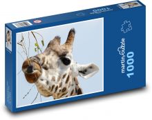 Žirafa - savec, hlava zvířete Puzzle 1000 dílků - 60 x 46 cm