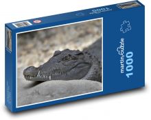 Odpočívajúci aligátor Puzzle 1000 dielikov - 60 x 46 cm