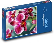 Květ orchideje Puzzle 1000 - 60x46 cm