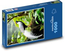 Bažant stříbrný Puzzle 1000 dílků - 60 x 46 cm