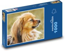Čivava - pes Puzzle 1000 dílků - 60 x 46 cm