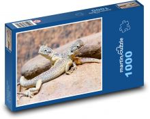 Drak - ještěrka Puzzle 1000 dílků - 60 x 46 cm