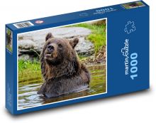 Medvěd ve vodě Puzzle 1000 dílků - 60 x 46 cm