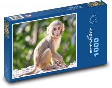 Opice- šimpanz Puzzle 1000 - 60x46 cm