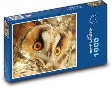 Sova ušatá Puzzle 1000 - 60x46 cm