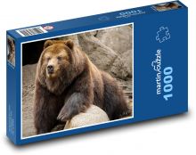 Medvěd Puzzle 1000 dílků - 60 x 46 cm