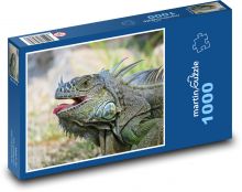 Leguán - ještěrka Puzzle 1000 dílků - 60 x 46 cm