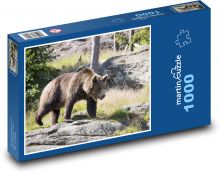 Medvěd hnědý Puzzle 1000 - 60x46 cm