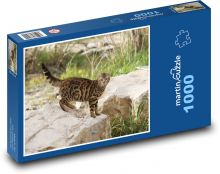 Divoká kočka Puzzle 1000 dílků - 60 x 46 cm