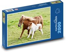 Hříbě - Shetland pony Puzzle 2000 dílků - 90 x 60 cm