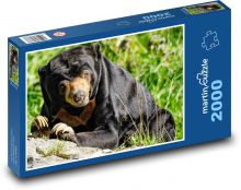 Medvěd Puzzle 2000 dílků - 90 x 60 cm