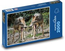 Rozzlobení vlci Puzzle 2000 - 90x60 cm