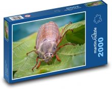 Brouk - hmyz Puzzle 2000 dílků - 90 x 60 cm