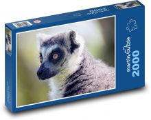 Lemur Puzzle 2000 dílků - 90 x 60 cm