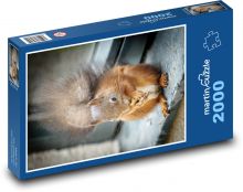 Veverka Puzzle 2000 dílků - 90 x 60 cm