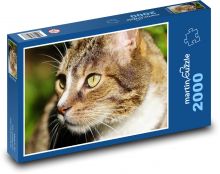 Kočka Puzzle 2000 dílků - 90 x 60 cm