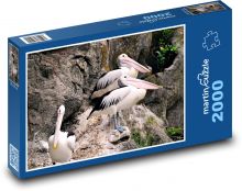 Pelikáni - ptáci Puzzle 2000 - 90x60 cm