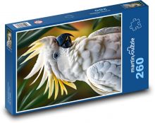 Bílý kakadu - krásný pták Puzzle 260 dílků - 41 x 28,7 cm
