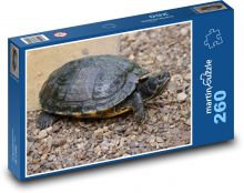 Plaz - želva Puzzle 260 dílků - 41 x 28,7 cm