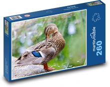 Kachna na jezeře Puzzle 260 dílků - 41 x 28,7 cm