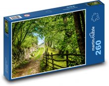 Romantická lesní cesta Puzzle 260 dílků - 41 x 28,7 cm